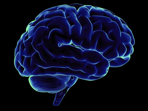 Искусственный мозг - на пути к созданию искусственного интеллекта