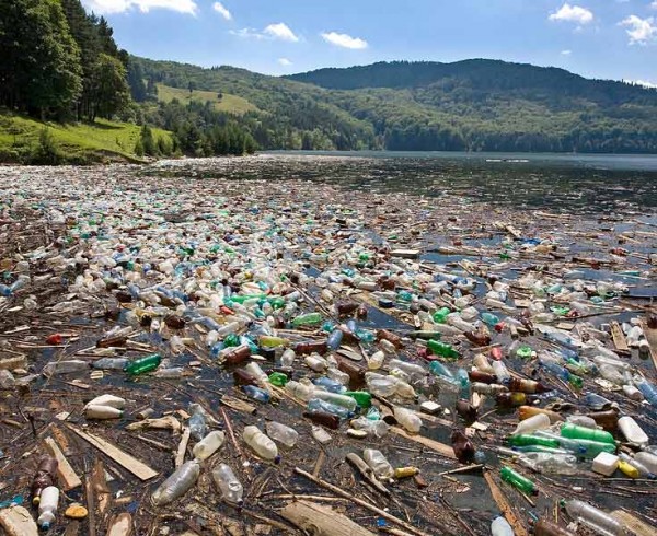 Пластиковые отходы - мировая проблема